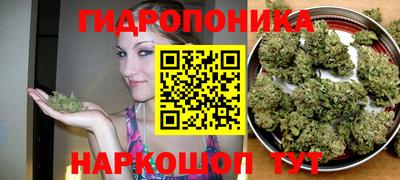 молекула духа Лесосибирск