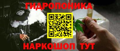 молекула духа Лесосибирск